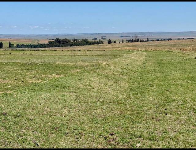 FARM FOR SALE IN TWEELING